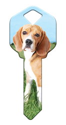 HK63 - Beagle house, happy, key, beagle, dog, puppy, kw1, kw10, sc1, wr5