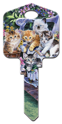 AC1 - Kittens Artisan Collection, kittens, house key blanks