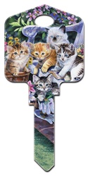 AC1 - Kittens Artisan Collection, kittens, house key blanks