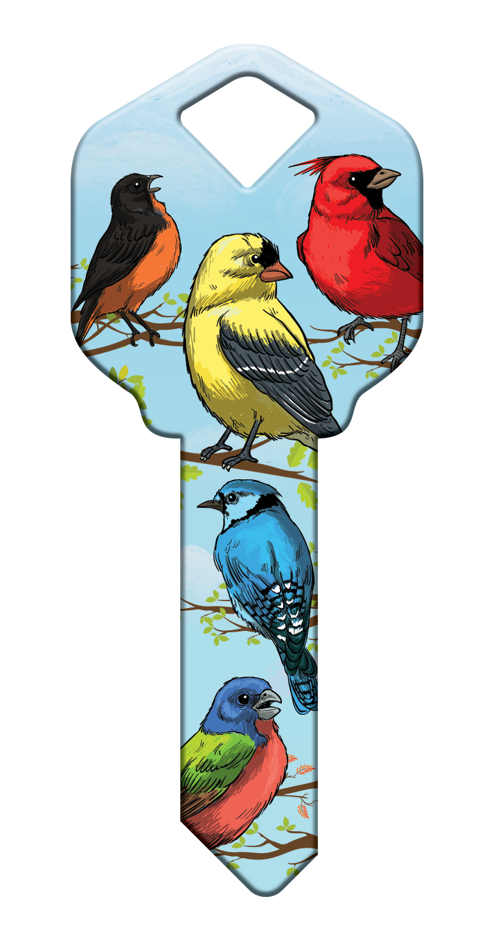 Happy Keys - Birds